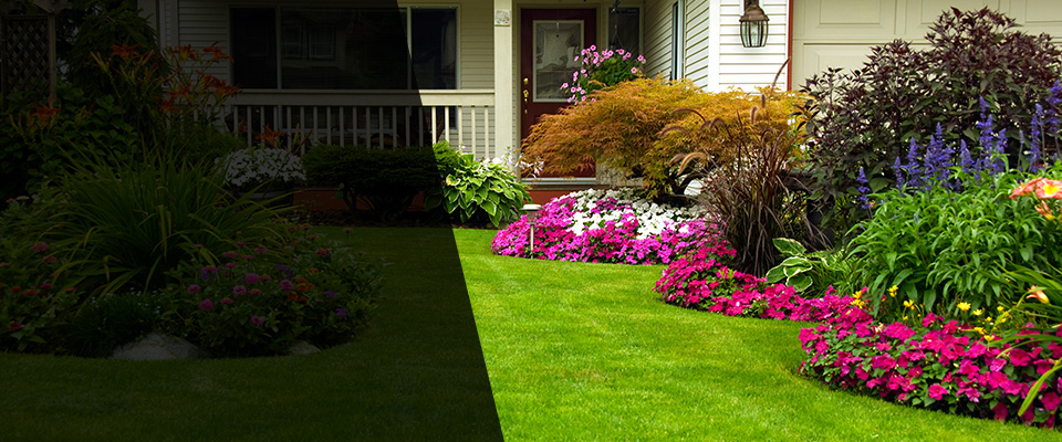 Fayetteville Landscapers